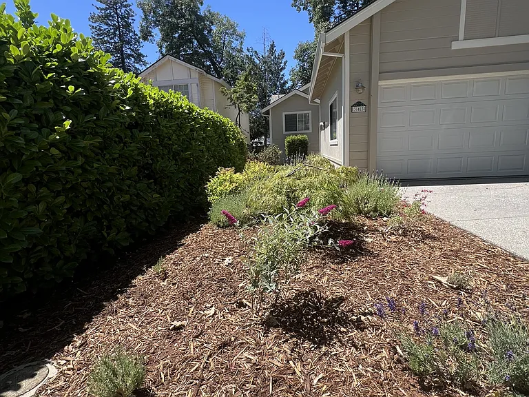 343 Horizon Cir — Photo 2