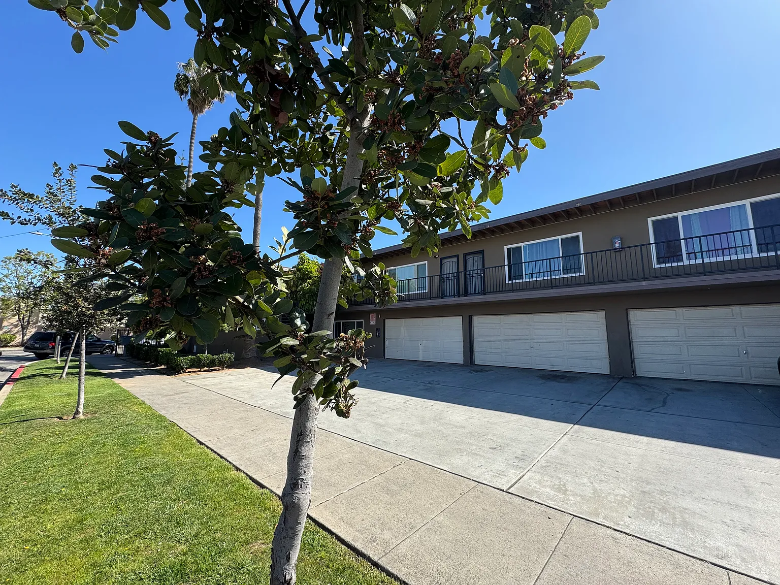 1 bed, 900 sqft, $1,875 — Photo 1