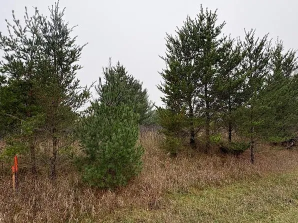 Tbdx Overland Dr, Browerville, MN 56438