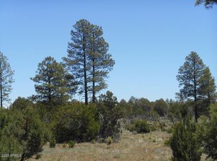 2835 Deer Trl, Overgaard, AZ 85933