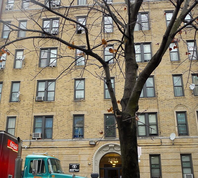 1st image of 2401 Newkirk Ave APT 5E