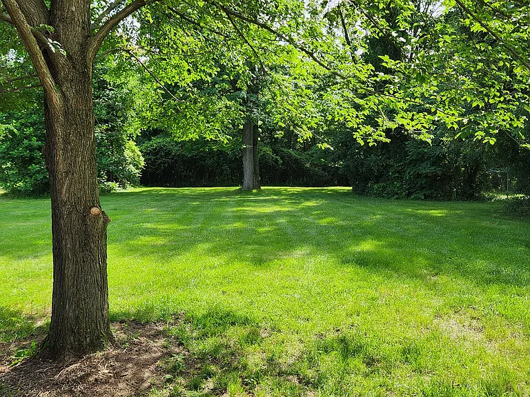 4741 Dexter Pinckney Rd — Photo 19