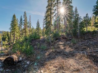 14 Palisades Dr UNIT 4, Kirkwood, CA 95646