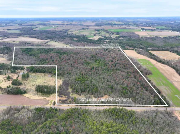 118.88 Acres on COUNTY ROAD O, Marathon, WI 54448