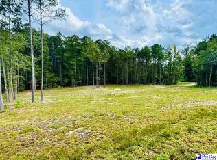 2025 Sam Jones Rd, Patrick, SC 29584