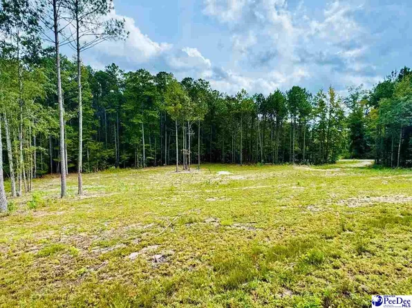 2025 Sam Jones Rd, Patrick, SC 29584