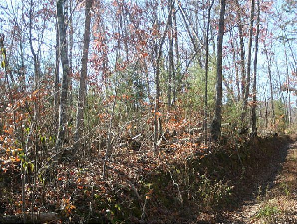2nd image of Davidson Lane