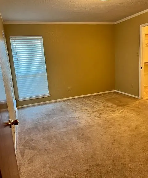 2410 Windy Pine Ln — Photo 9