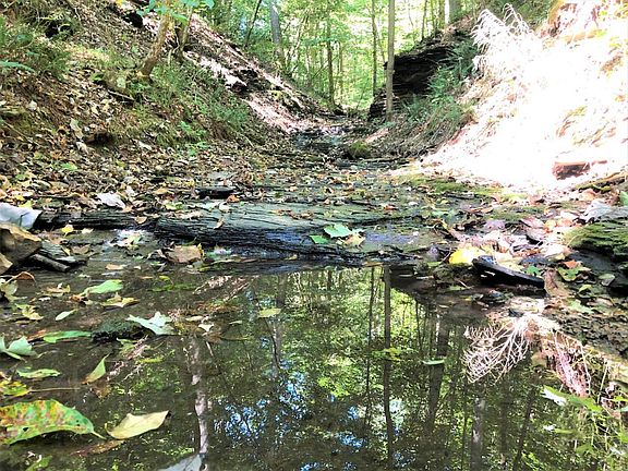 5th image of Clay Lick Ct Lot Wp01