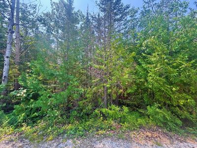 LOT 73 Timberway Dr, Presque Isle, MI, 49777