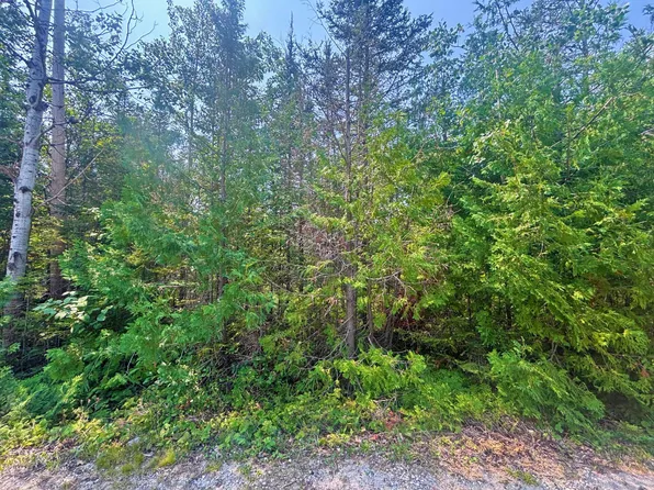 LOT 73 Timberway Dr, Presque Isle, MI 49777