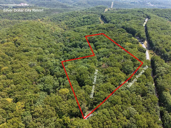 62 Seldom Seen Lane, Branson West, MO 65737