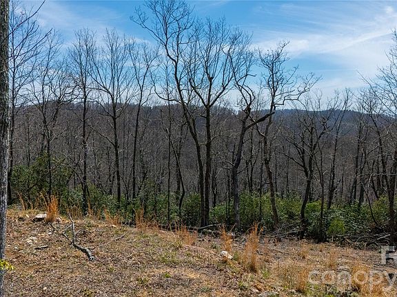 4th image of 0 Walker Ridge Rd