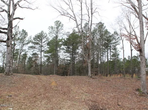 Louise Rd Lot 15, Byhalia, MS 38611
