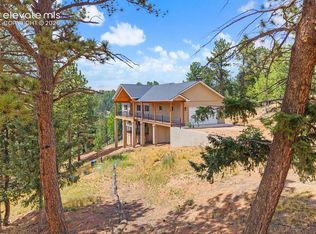 367 Cottonwood Lake Dr, Divide, CO 80814