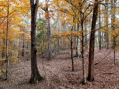 0 Greenhill Dr, Florence, MS, 39073