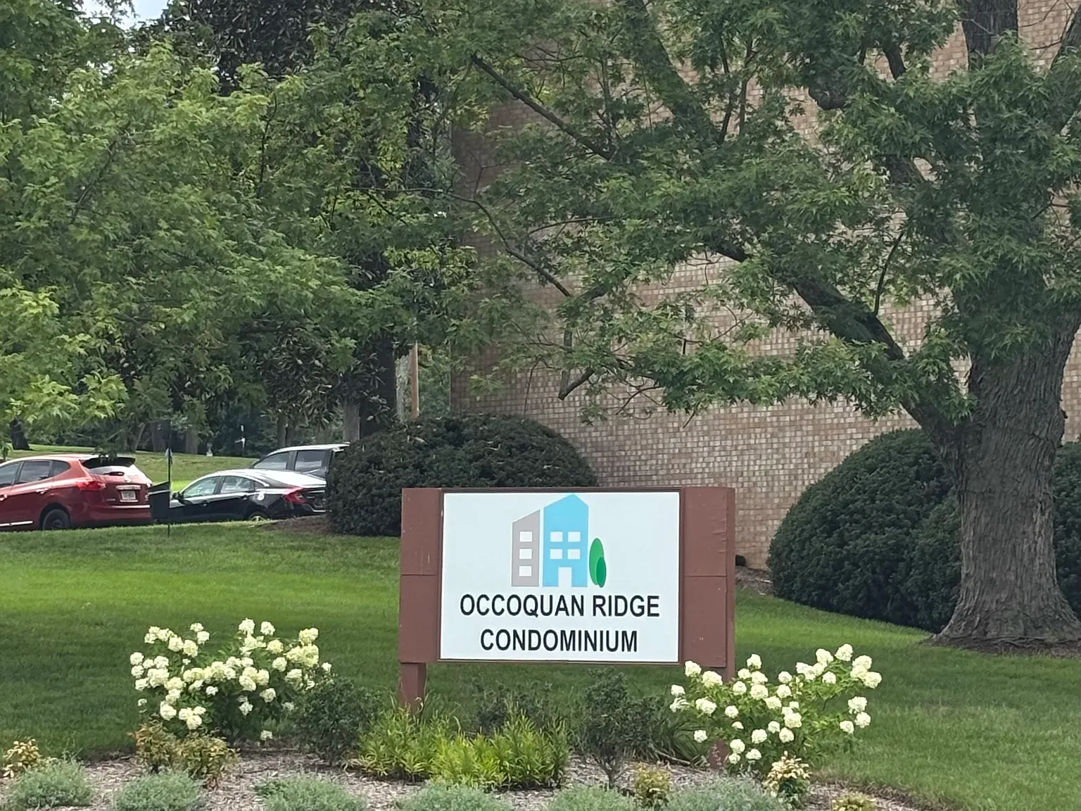 1 bed, 700 sqft, $1,800 — Photo 1