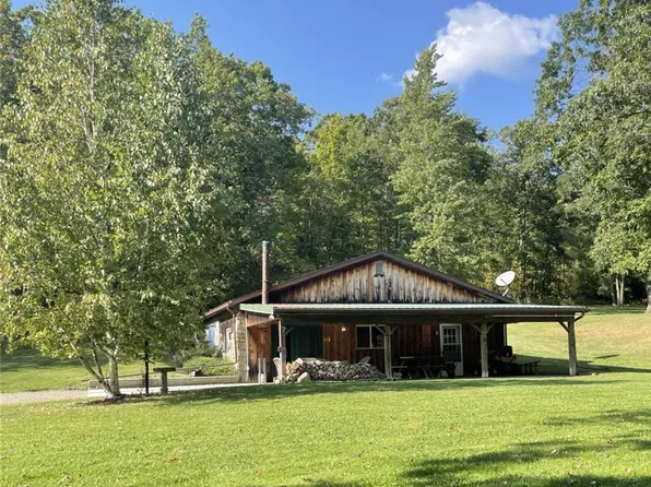 1059 Bald Hill Rd, Hornell, NY 14843