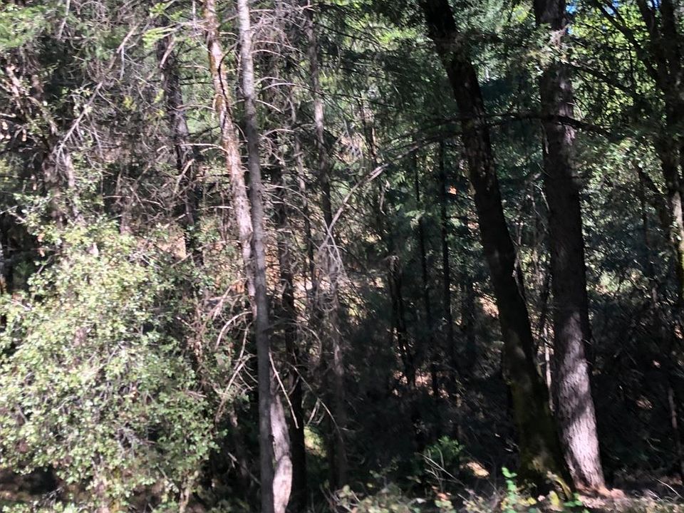 2nd image of 19351 Wymer Ln