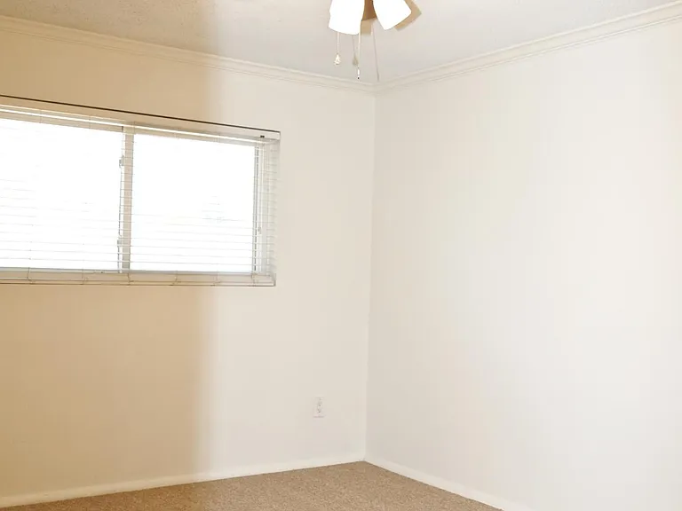 3626 N 80th Pl — Photo 7