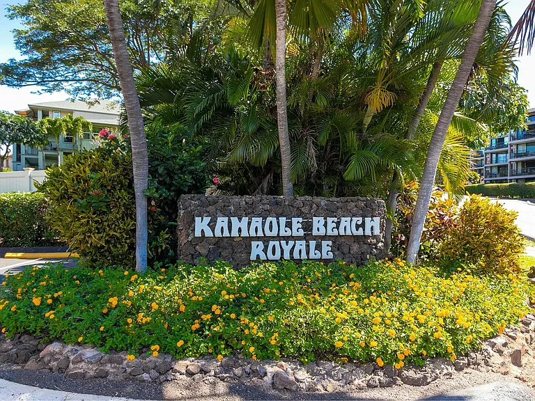 S Kihei Rd — Photo 28