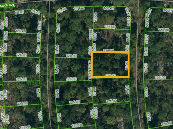 232 RAINBOW DRIVE LOT 20, LAKE PLACID, FL 33852