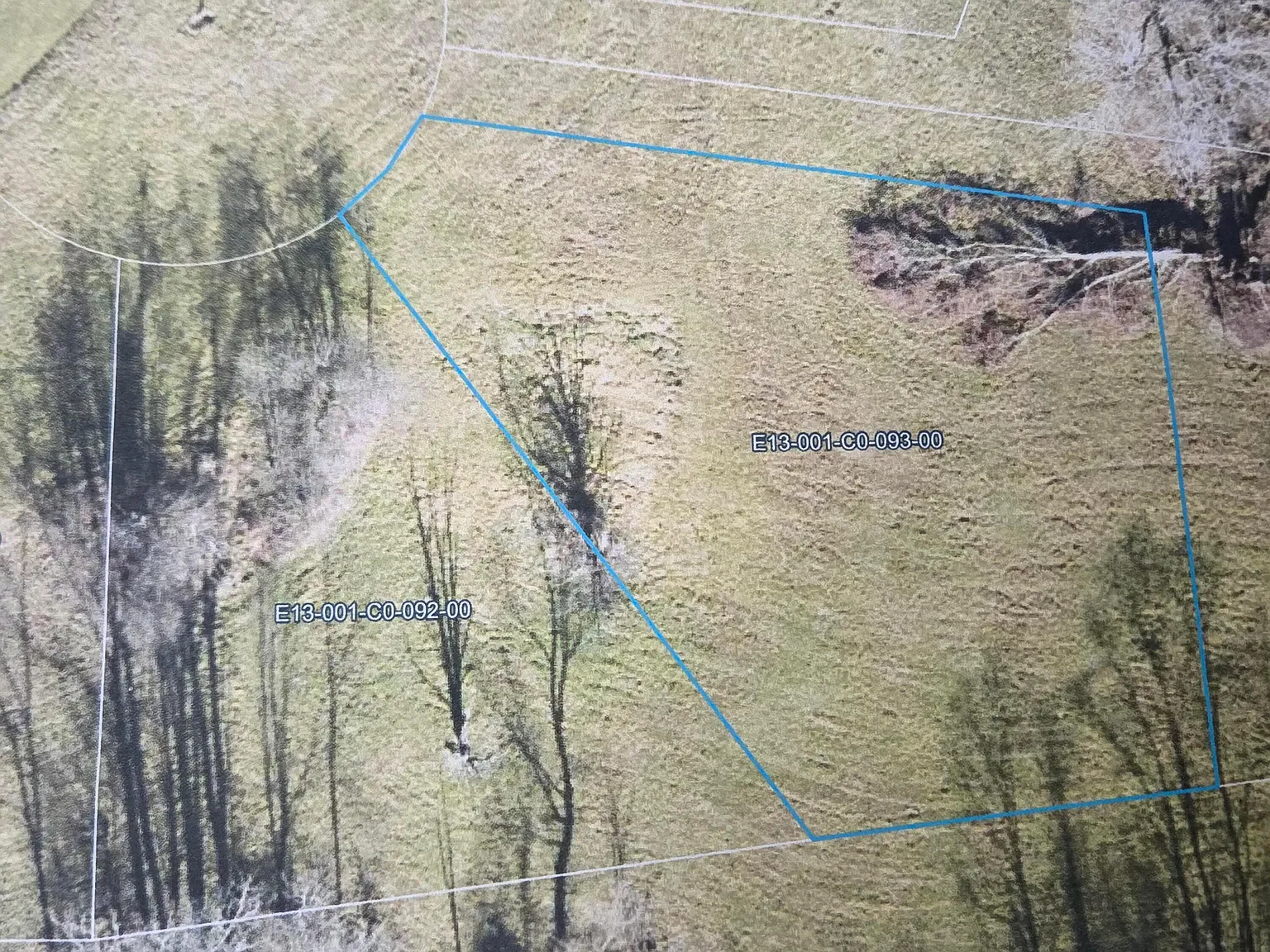 7326 State Highway 19 Lot 1-93 photo 1