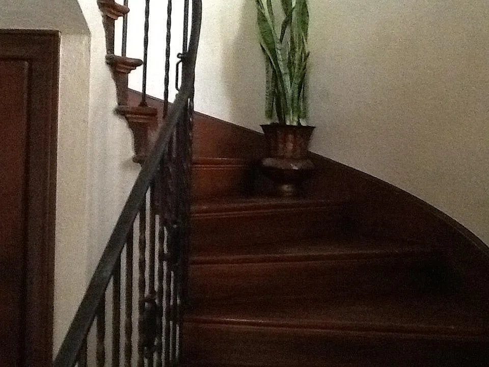 Entry Stairway