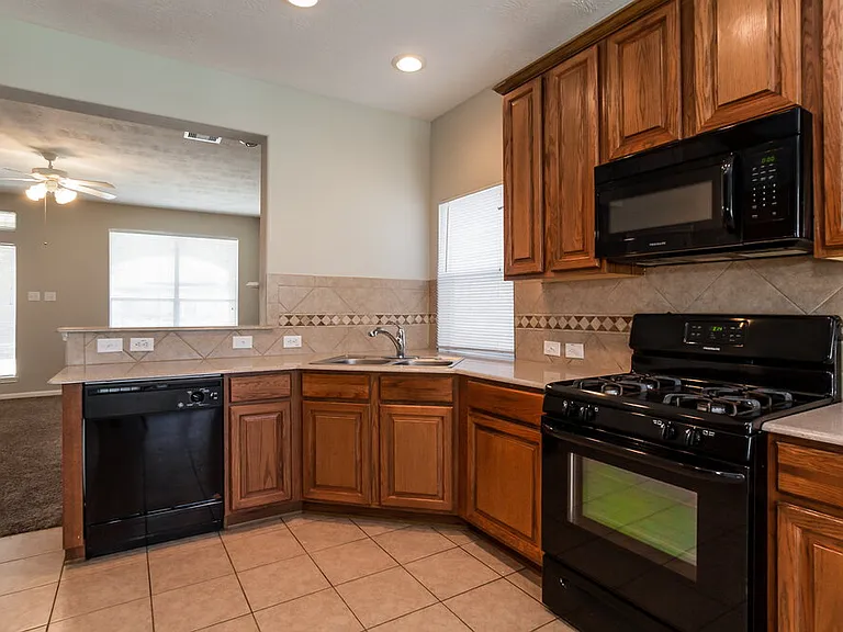 17251 Mitchell Pass Ln — Photo 7