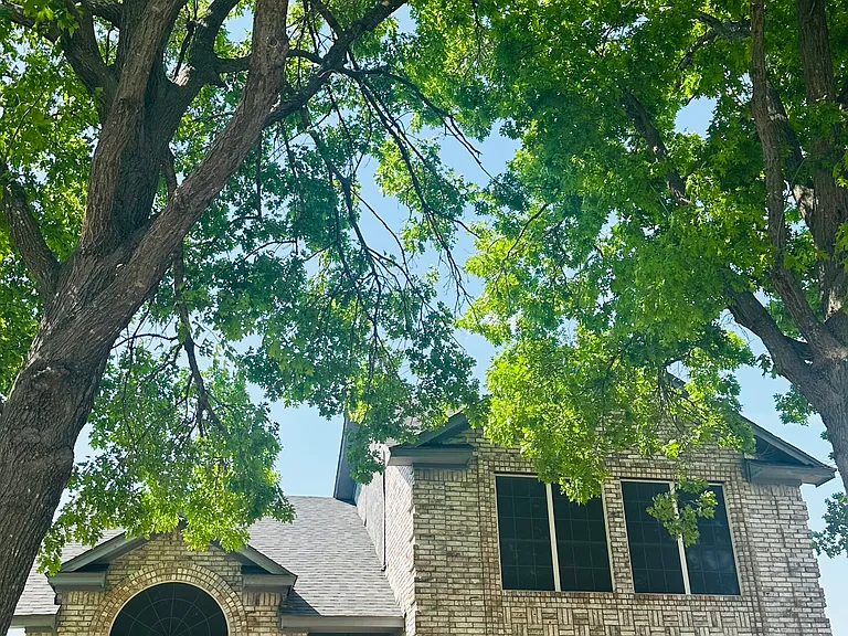 1441 Warwick Dr — Photo 33