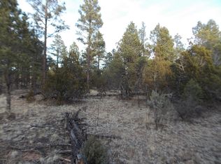 3329 Homestead Dr, Overgaard, AZ 85933