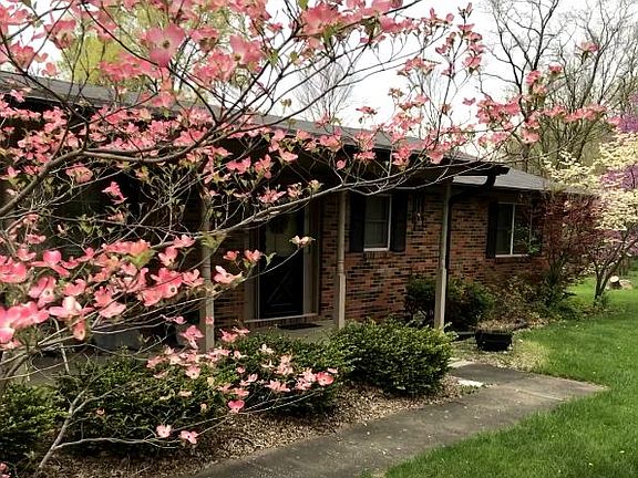 Pink dogwood!