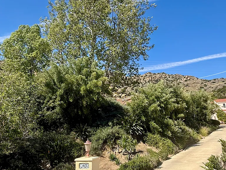 1922 Golden Sky Cir — Photo 37