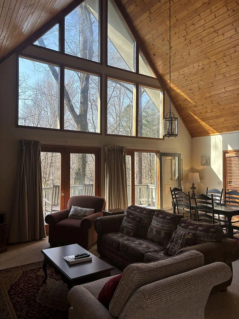 417 Chalet Village Ln — Photo 3