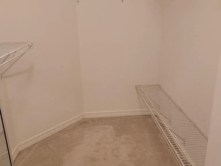 3413 Jasmine Trace Ln — Photo 13
