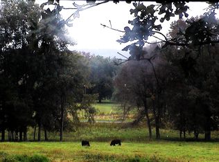 1301 Brock Chapel Rd, Union Grove, AL 35175