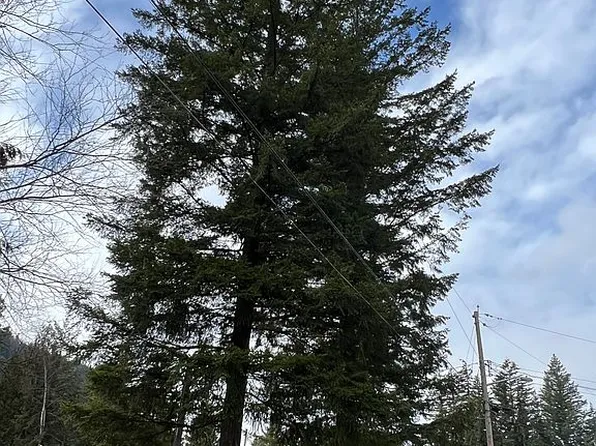 6243 Azure Way, Maple Falls, WA 98266