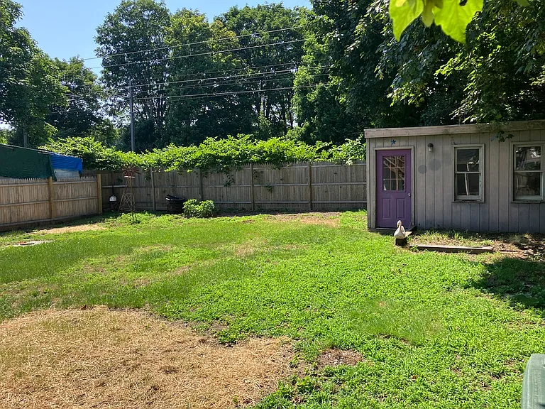 Big fenced yard