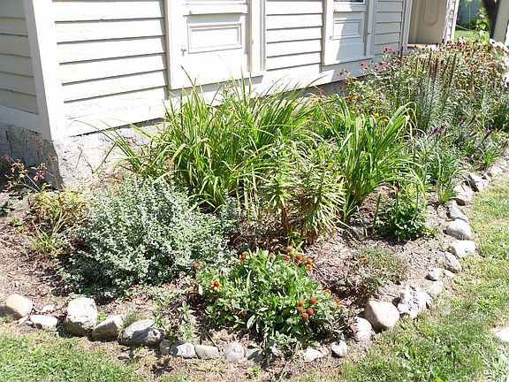 Perennial bed in side yard