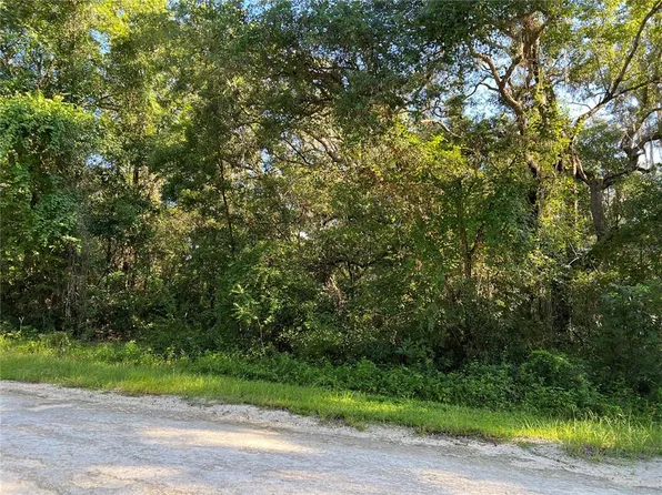 Arrowrock St Lot 6, Webster, FL 33597