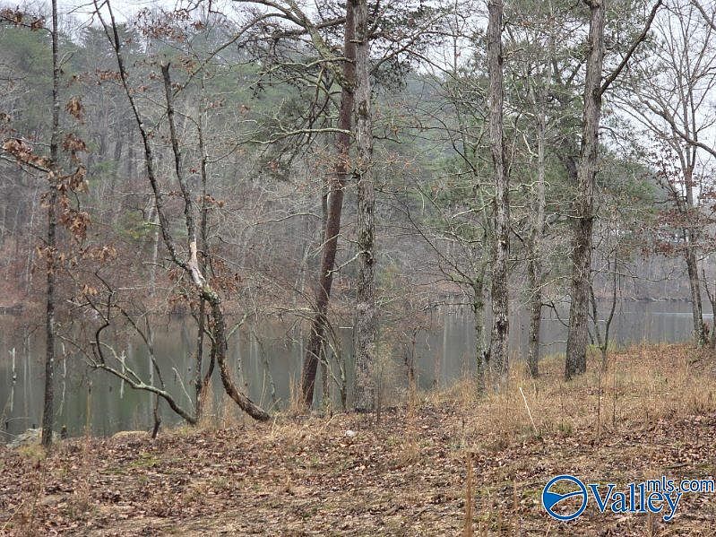 1st image of 94 Caney Cove Rd