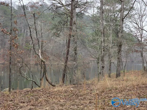 94 Caney Cove Rd, Phil Campbell, AL 35581