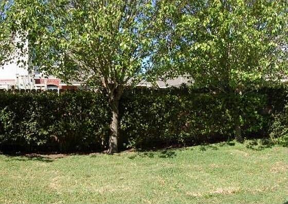1st image of 3146 Edgewood Dr