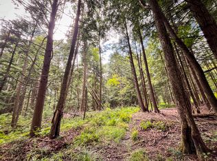 Wyncoop Creek Rd LOT WP001, Erin, NY 14838