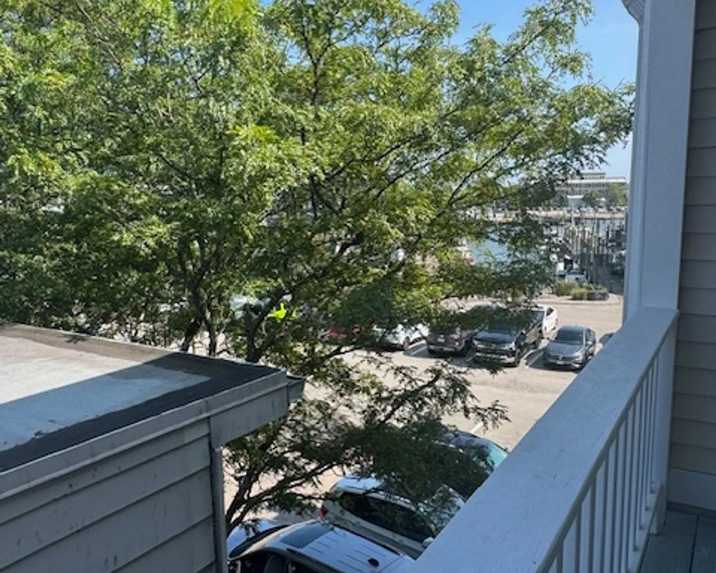 Steamboat Wharf Properties LLC — Photo 1