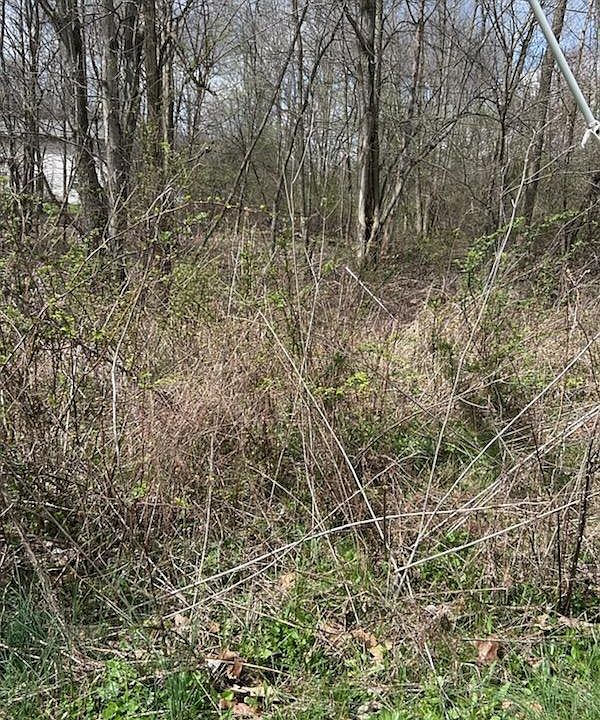 2nd image of 0 King Rd