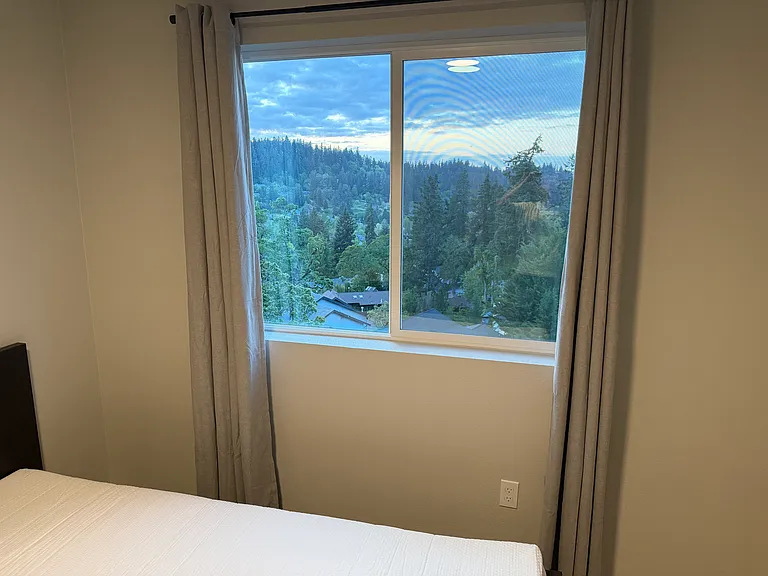 2642 Waterlily Dr — Photo 4