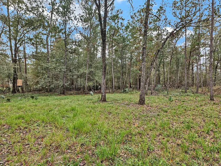 271 Shoreline Dr — Photo 20