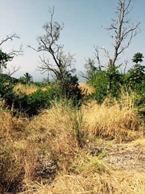 1st image of 78-6728 Mamalahoa Hwy #2-lot 1-A