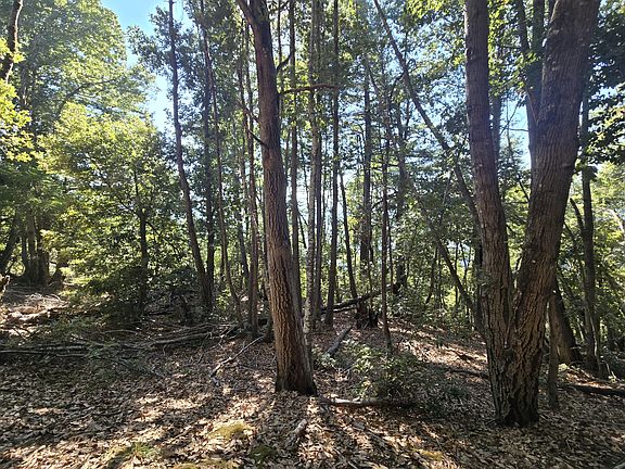 5th image of 00 Panther Gap Rd